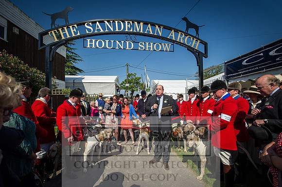 Ardingly Foxhounds 2015-5
