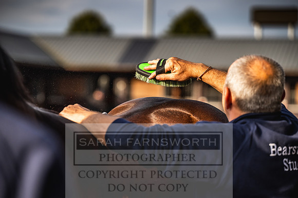 Goffs UK PY24-245