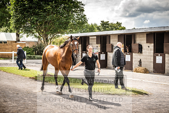 Goffs Land Rover Sale 2022-373