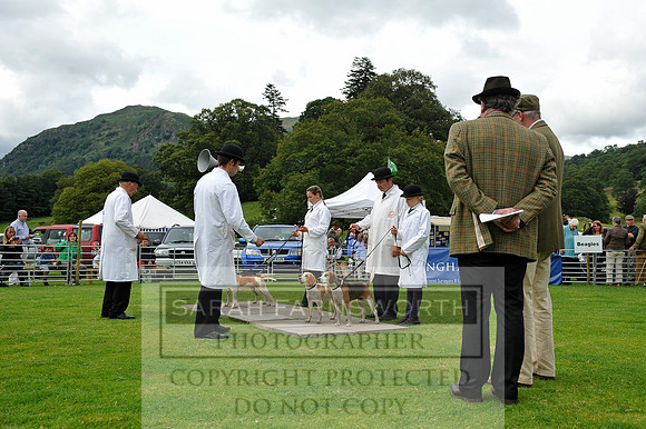Rydal 2014 CF1 428