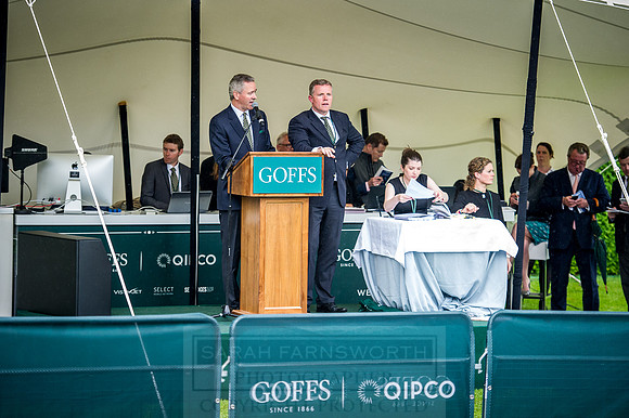 Goffs London Sale 2016-312