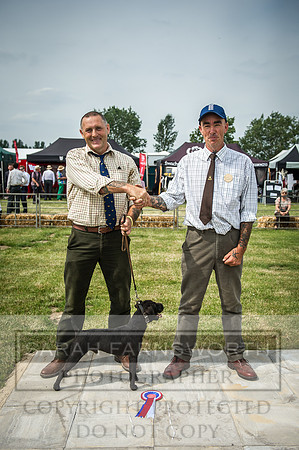 PFoH 2016-245