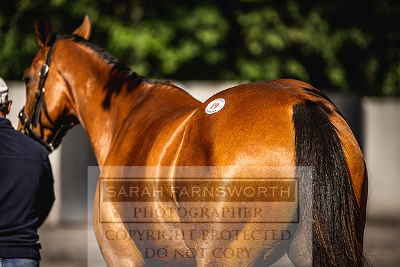 Goffs Land Rover Sale 2022-145