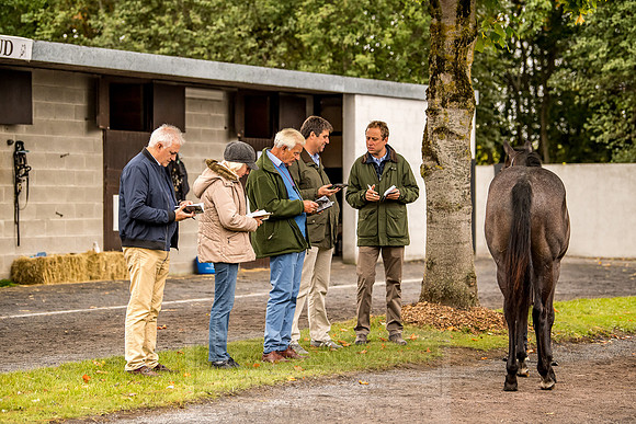 Goffs Orby 2018 Day 1-78