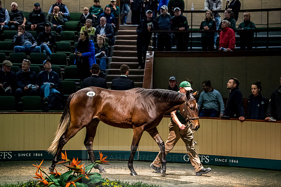 Goffs Orby 2018 Day 2-173
