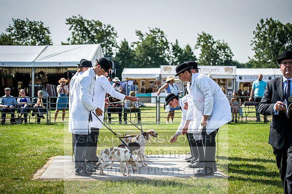 PFoH 2016-46