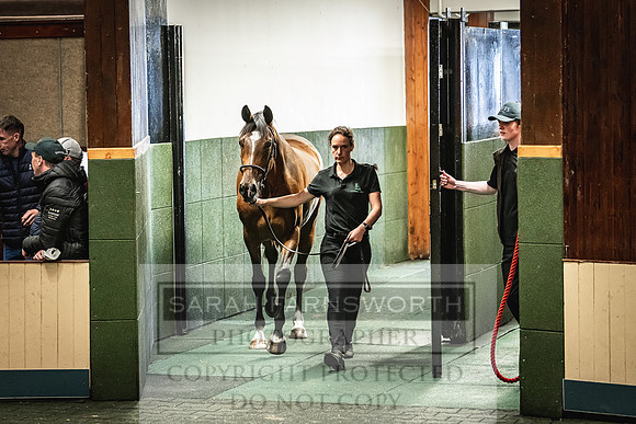 Goffs Land Rover Sale 2022-658