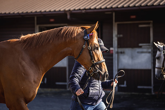 Goffs UK Breeze Up 2022-100