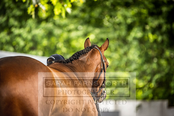 Goffs Land Rover Sale 2022-363