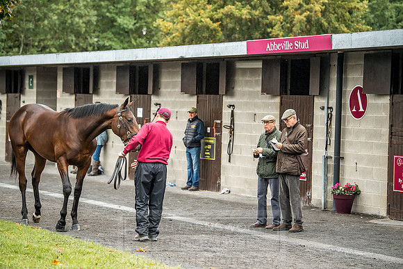 Goffs Orby 2018 Day 2-59