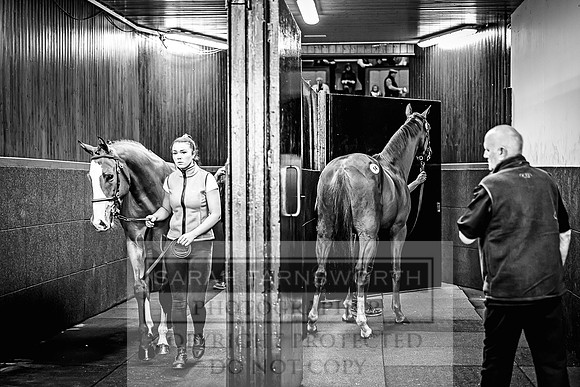 Goffs Land Rover Sale 2022-193
