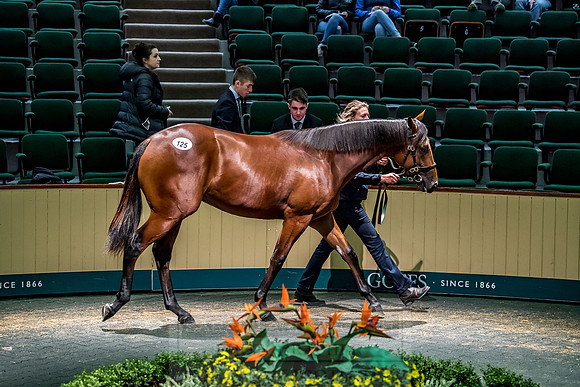Goffs Orby 2018 Day 1-310