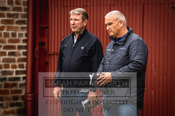 Goffs Yorton Sale 2022-156