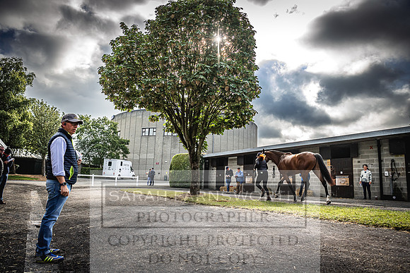 Goffs Land Rover Sale 2022-83