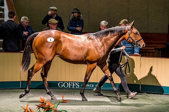Goffs Orby 2018 Day 1-140