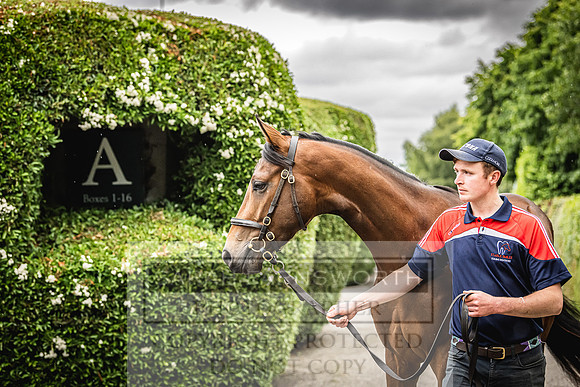 Goffs Land Rover Sale 2022-464