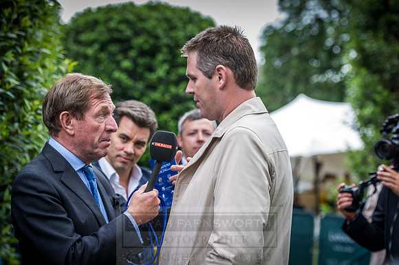 Goffs London Sale 2016-496