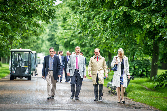 Goffs London Sale 2016-43