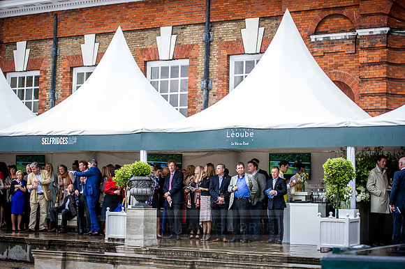 Goffs London Sale 2016-254