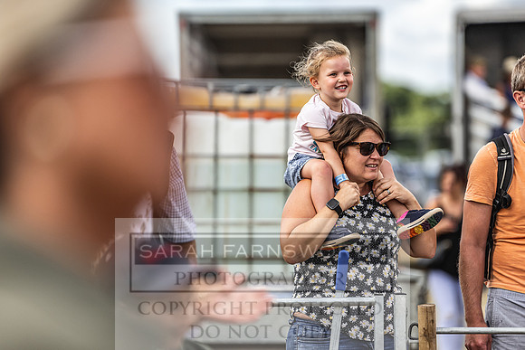 Honiton Hound Show 2022-31