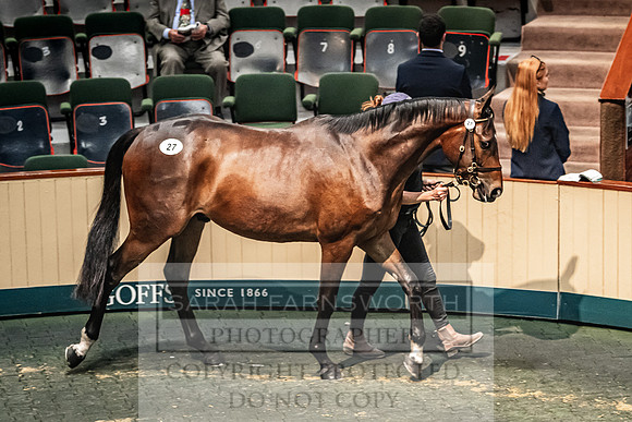 Goffs Land Rover Sale 2022-210