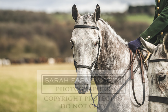 Thurlow at Heythrop 130319-313