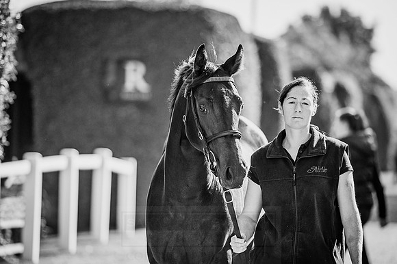 Goffs Orby 2015 -339 bw
