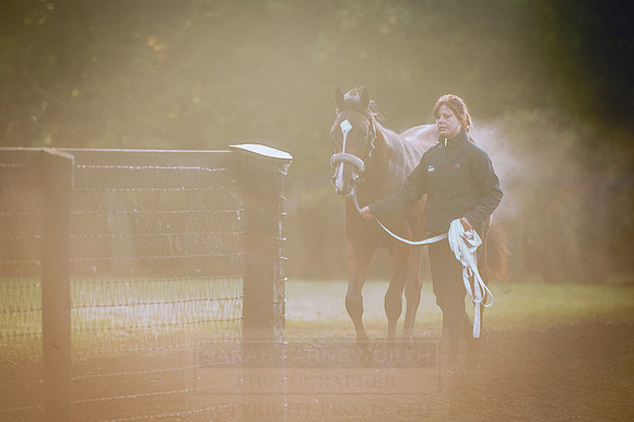 Goffs Orby 2015 -461
