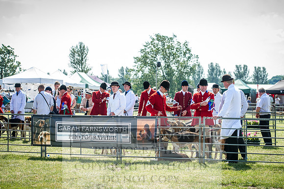 PFoH 2016-585
