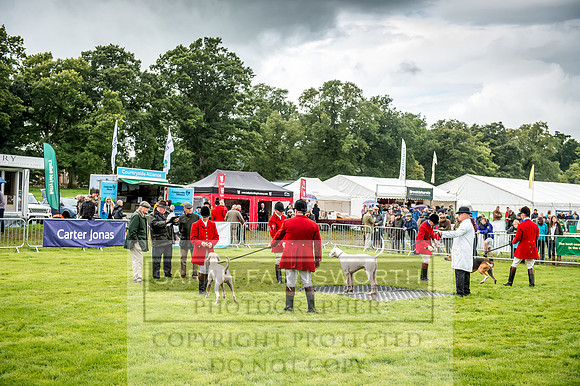 Lowther Hound Show 2017-40