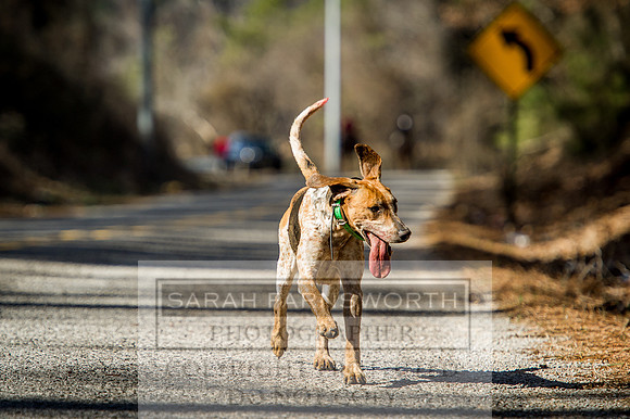 Mooreland Hunt-79