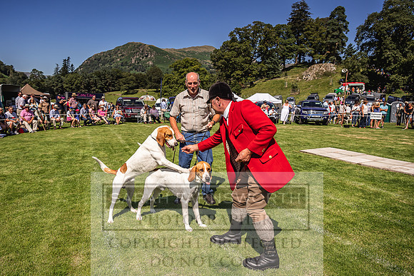 Rydal Hound Show 2022-63