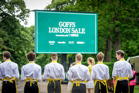 Goffs London Sale 2016-30