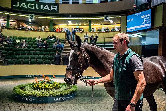 Goffs Orby 2018 Day 1-258
