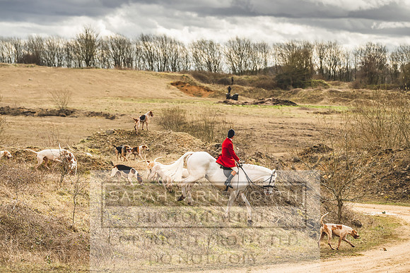 Thurlow at Heythrop 130319-506