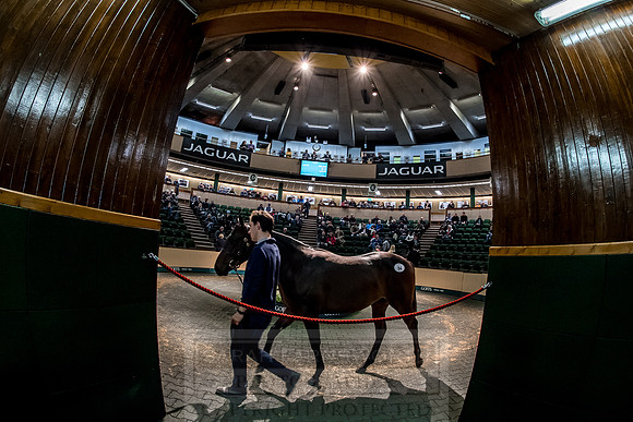 Goffs Orby 2018 Day 1-271