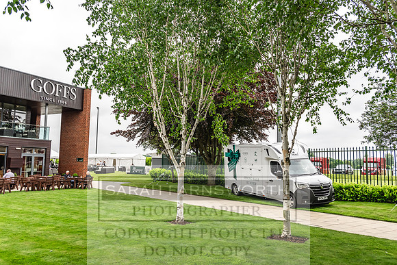 Goffs UK Spring Sale 2024-108