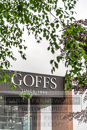 Goffs UK Spring Sale 2024-111