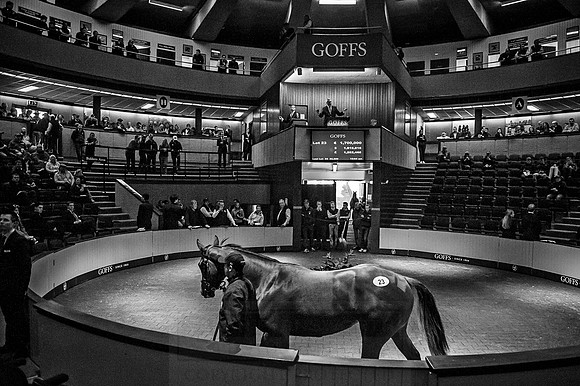 Goffs Orby 2015 -252 bw