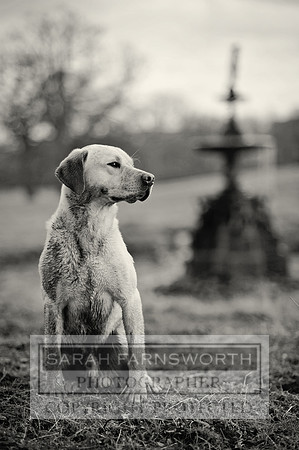 Drake 260214 CF2 057 bw