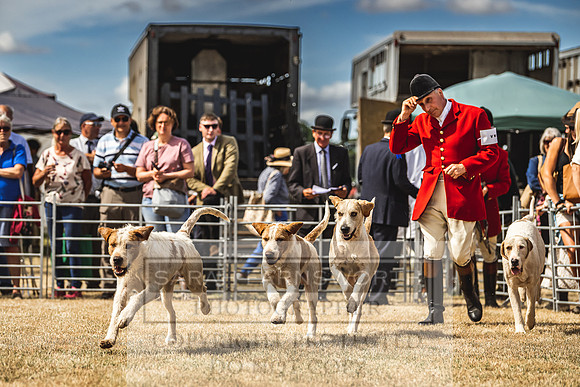 Honiton Hound Show 2022-103