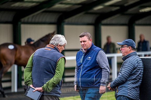 Goffs Orby 2018 Day 2-135