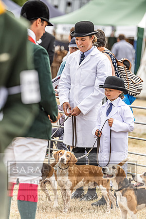 Honiton Hound Show 2022-46