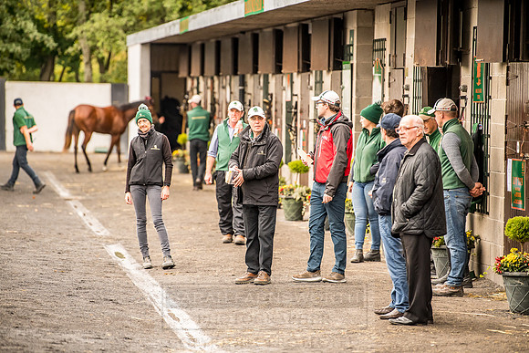 Goffs Orby 2018 Day 1-64