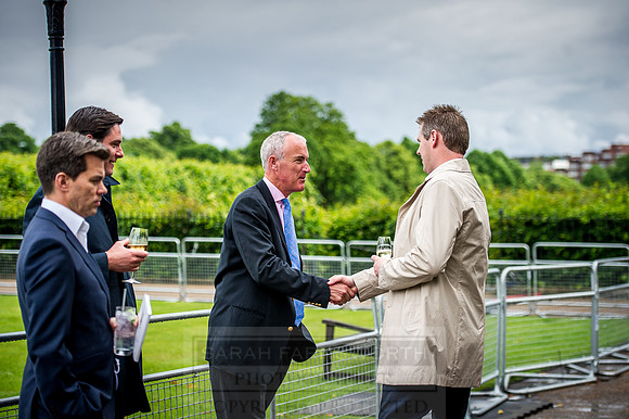 Goffs London Sale 2016-50