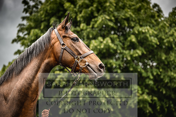 Goffs Land Rover Sale 2022-226