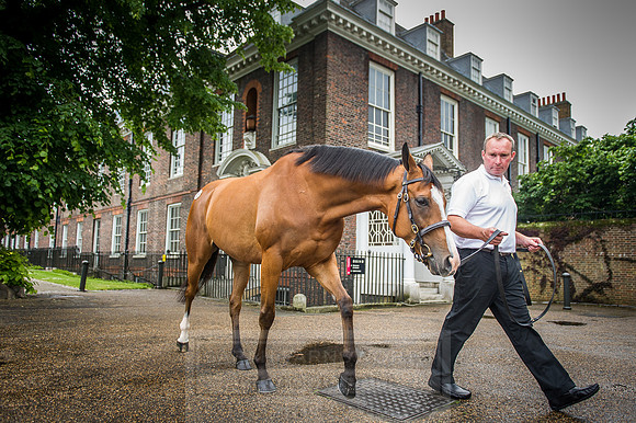 Goffs London Sale 2016-155