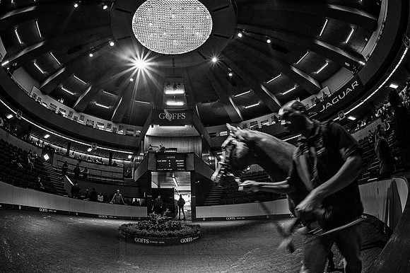 Goffs Orby 2015 -541 bw