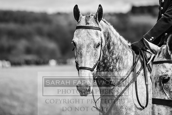 Thurlow at Heythrop 130319-312
