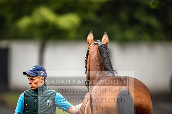 Goffs Land Rover Sale 2022-481